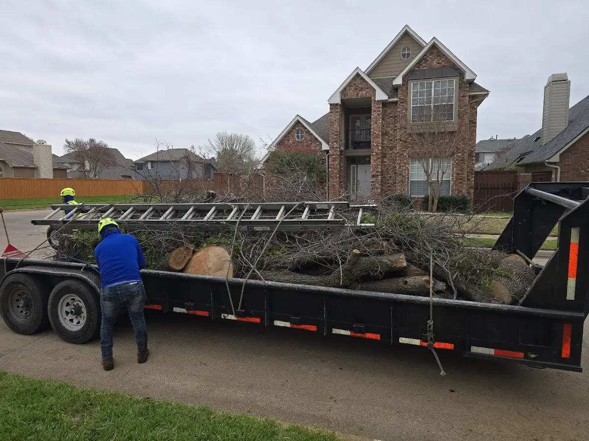 Expert Tree Fertilization with proper safety equipment in Morley